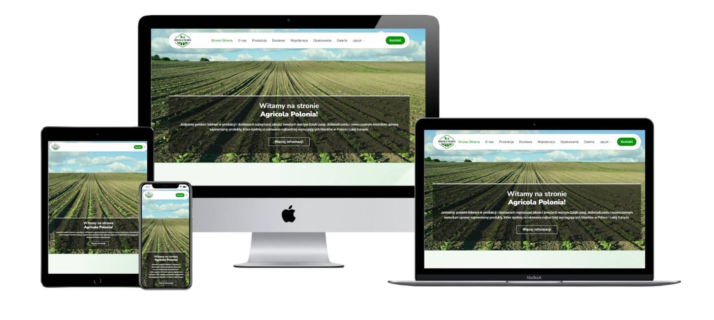 Strona internetowa firmy